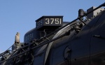 Crw_0575f