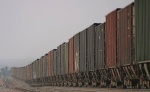 IMG_0419f