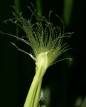 DSCN5012f