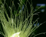DSCN5018f