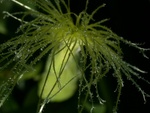 DSCN5021f