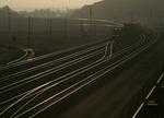 CRW_0181a