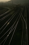 CRW_0182a