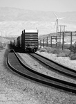 CRW_0339a