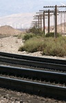 CRW_0353a