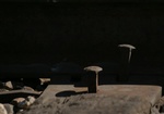 CRW_0355a