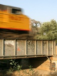 CRW_0437a
