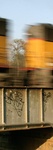CRW_0444a