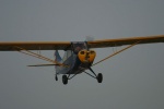 IMG_0338f
