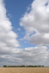 CRW_0607a