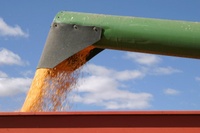 Highlight for Album: Harvest in South Dakota, Collection B - 9/30/03