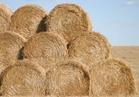 Highlight for Album: Harvest in South Dakota, Collection C - 9/30/03