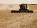 CRW_0800a
