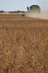 CRW_0903a
