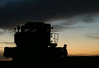 Highlight for Album: Harvest in South Dakota, Collection L - 10/20/03   