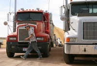 Highlight for Album: Harvest in South Dakota, Collection M - 10/20/03