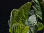 Dscn4708f