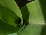 Dscn4710f