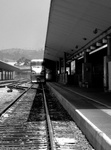 DSCN2605a