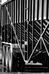 CRW_2683f