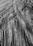 DSCN4004f