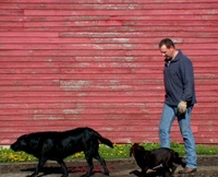 Highlight for Album: Planting Season in Langford, SD - Collection E