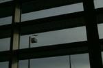 CRW_0516a