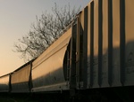 CRW 1880a