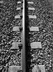 DSCN0337a