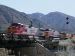 DSCN0645_motiona
