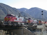 DSCN0645a
