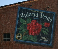 Highlight for Album: Upland Pride Mural - 9/8/03