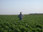 Highlight for Album: 2003 Crop Tour