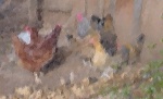 Lucky Chickens