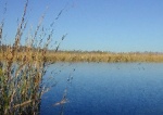 Lake Carpe Diem