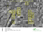 Highlight for Album: Field Grid Images